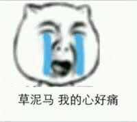 我的心好痛表情包图片- 求表情网,斗图从此不求人!